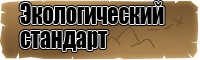 Толстовка с капюшоном с принтом